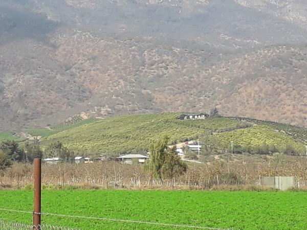 TERRENO EN CULIPRÁN PARA INVERSIONISTAS