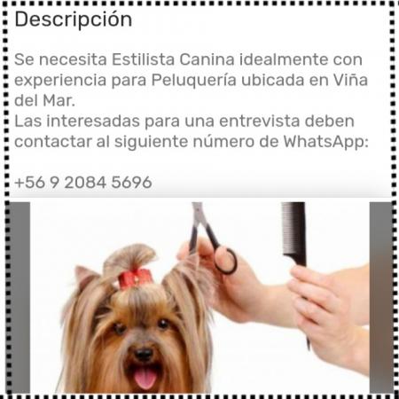 PELUQUERA CANINA
