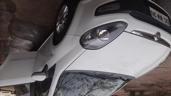 PUNTO 2011