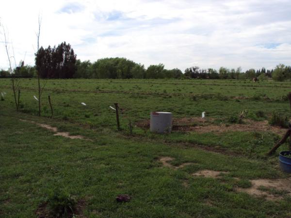 VENDO LOTES 5000 M2. VARA GRUESA SECTOR QUIÑIPEUMO