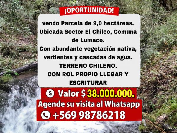 Parcela De 9,0 Hts. Comuna Lumaco