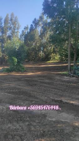 VENTA DE TERRENOS QUINTA REGION 
