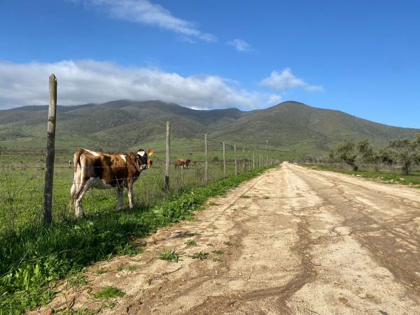 TERRENOS EN VENTA