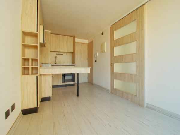 Hermoso Depto De 1 Dorm En Ñuñoa