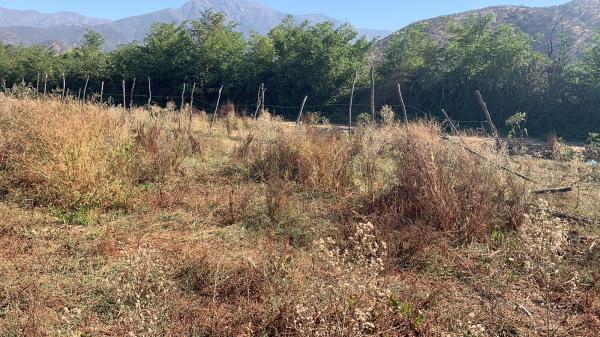 SE VENDE TERRENO EN CHANCON