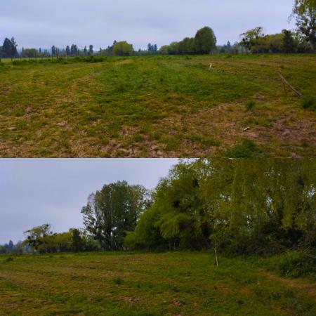 TERRENO AGRÍCOLA EN LAS LOMAS DE POLCURA