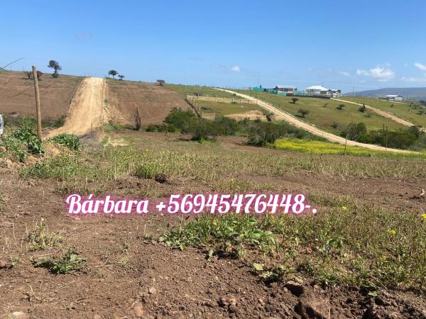 VENTA DE TERRENOS QUINTA REGIÓN 