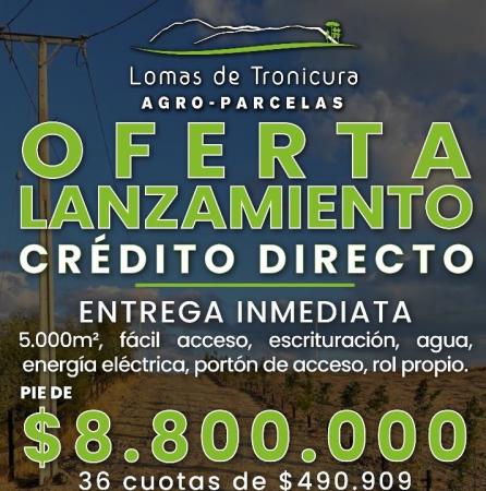 LOMAS DE TRONICURA ( ANGOL )