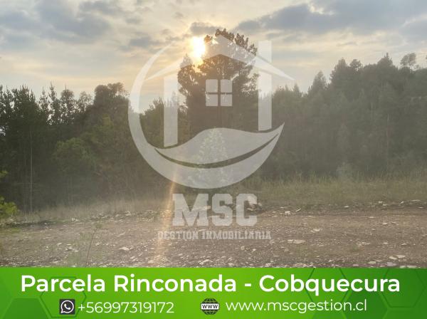 PARCELA RINCONADA TAUCU - COBQUECURA