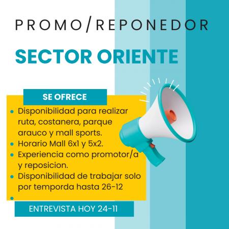 Promo/reponedor Temporada Las Condes