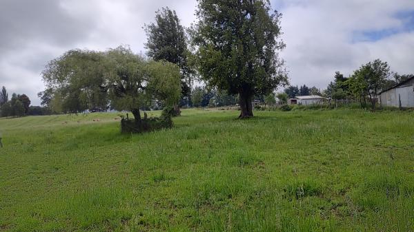 Loteo 5.000 M2 Quintrilpe La Peña