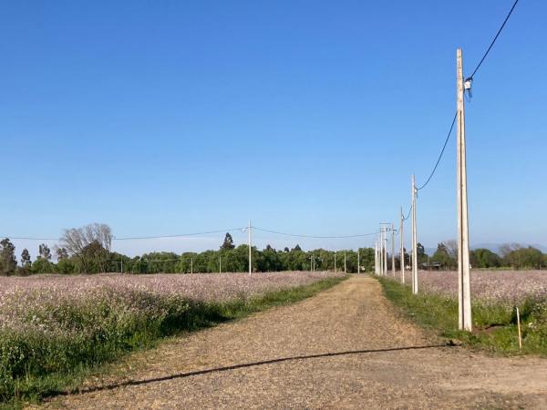 TALCA  VENTA DE PARCELAS DE TERRENO 