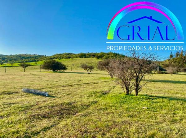Terreno De 5.000 M2 En Mallermo