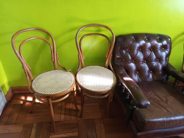 6 Sillas Viena Enjuncadas 