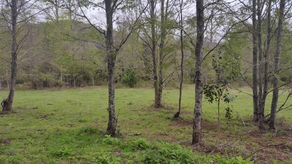 Parcela 5.000 M2 En Licanray.