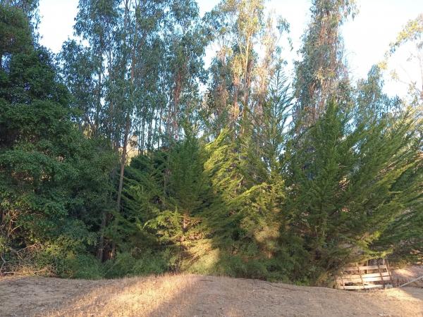 VENTA DE TERRENO