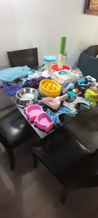 Accesorios Para Mascotas 