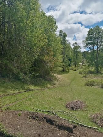 HERMOSO CAMPO 10 HECTÁREAS EN CURARREHUE