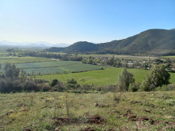 VENTA DE PARCELA PIMPINELA, REQUÍNOA 