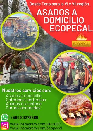 ASADOS A DOMICILIO 