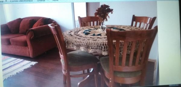 ARRIENDO DEPARATAMENTO AMOBLADO EN SAN FELIPE
