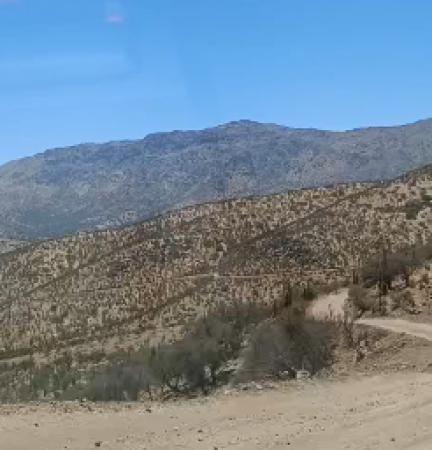 PARCELA EN LOMAS DEL ACONCAGUA