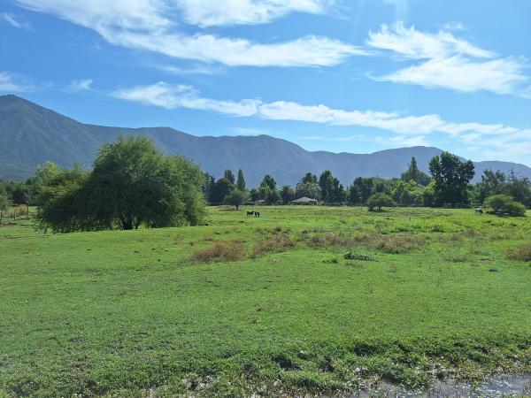 TERRENO URBANIZADO 2,5 HA LO MIRANDA