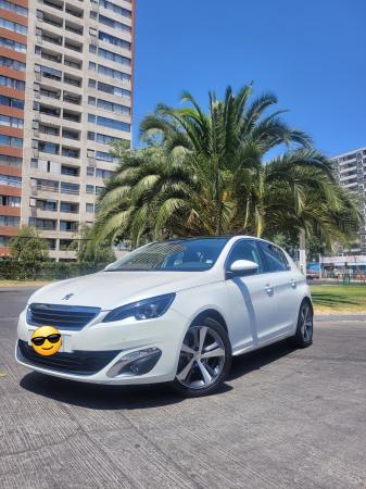 VENDO MI LEON 308