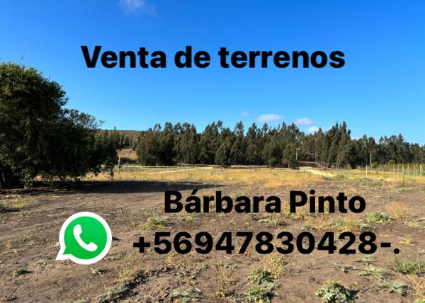 VENTA DE TERRENOS QUINTA REGIÓN 