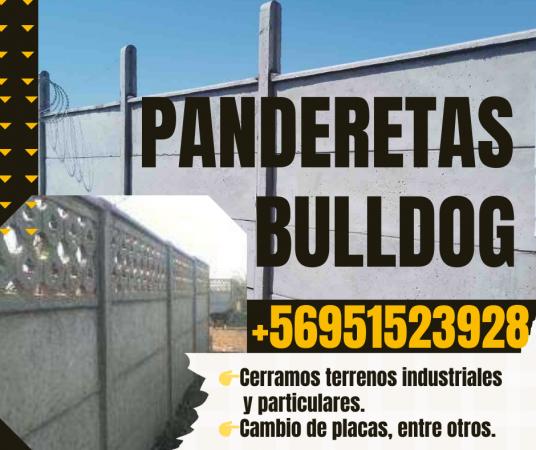 PANDERETAS DE BULLDOG