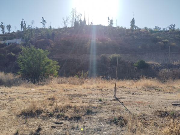 PARCELAS 5000M2 ROL, LUZ Y AGUA ENTREGA INMEDIATA 