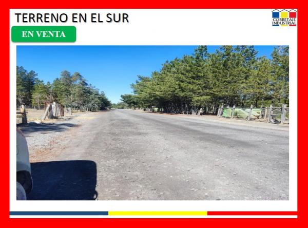 TERRENO EN EL SUR