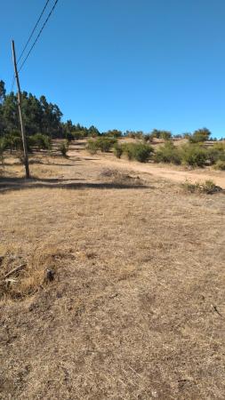 DUEÑO VENDE TERRENO DE 5000 MTS2 EN CHILLÁN