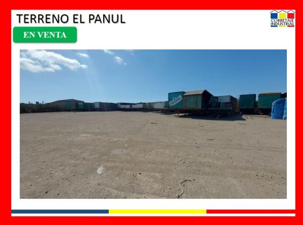 TERRENO EL PANUL