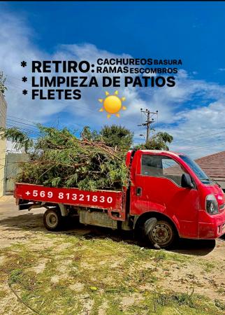 RETIRO DE CACHUREOS LA SERENA COQUIMBO GRATIS NO