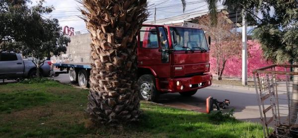 SE OFRECE SERVICIO DE TRANSPORTE - DESPACHO|FLETE
