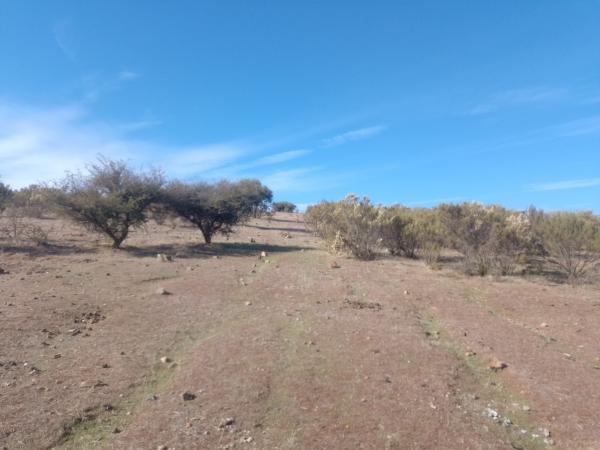 PARCELA 0,5 HECT SAN PEDRO MELIPILLA