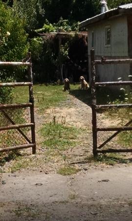 SE VENDEN DERECHOS CON CASA 