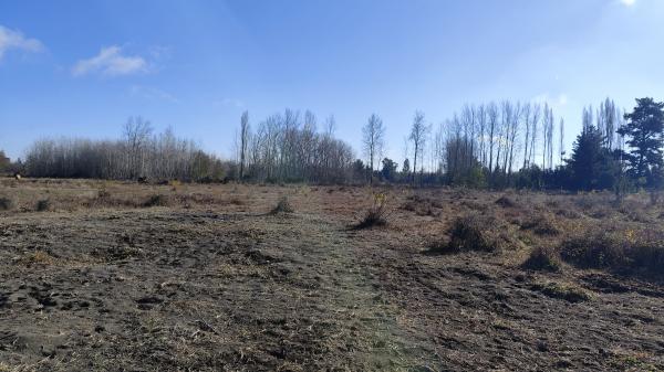 VENDO PARCELAS DE AGRADO DE 5.000 MTS^2,.