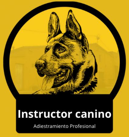INSTRUCTOR CANINO JUAN PAVEZ