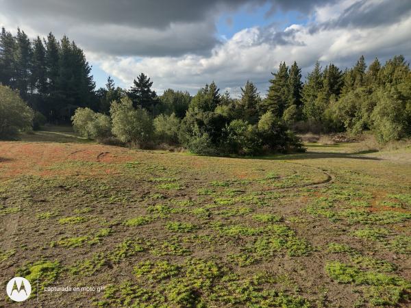 TERRENO 5000 M2