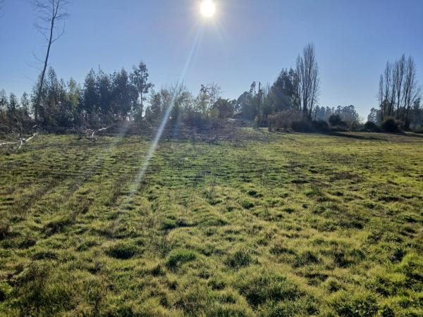 V 1574-P-672-GR- PARCELA EN SAN CLEMENTE
