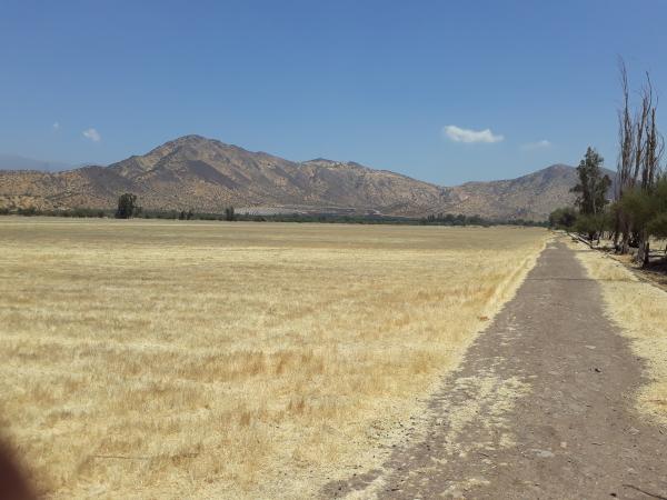 TERRENO KM 42 P. NORTE 53 HSA PLANAS 