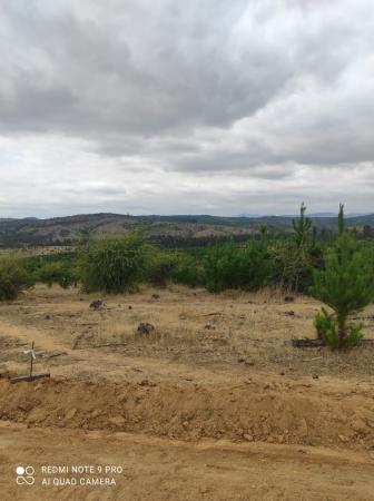 PARCELA  5000 MT 2