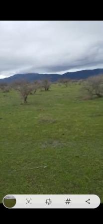 PARCELA 5000 METROS CON ROL PROPIO 