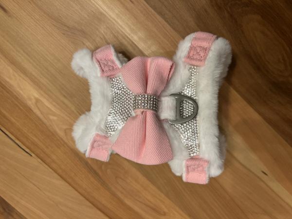 ARNES CHIC