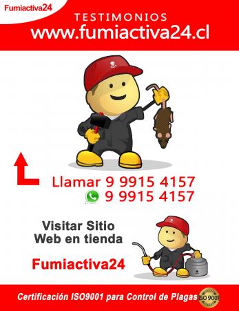 EXTERMINAR RATONES EN CIUDAD SATELITE-