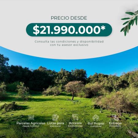 PARCELAS CON CRÉDITO EN LITUECHE