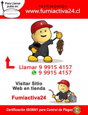 EXTERMINAR RATONES EN SAN MIGUEL-EXPRESS