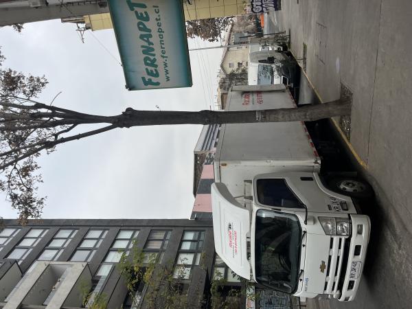 MUDANZAS Y TRANSPORTES EN GENERAL 